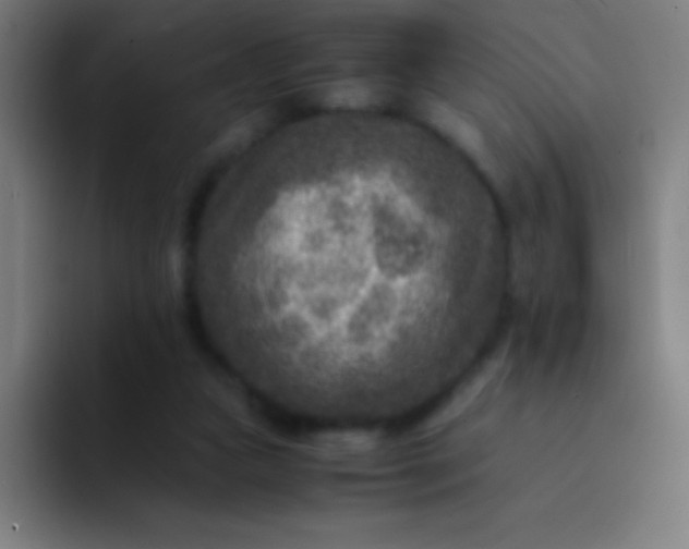 X0000094340161200711162017