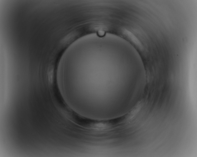 X0000094340163200711162017