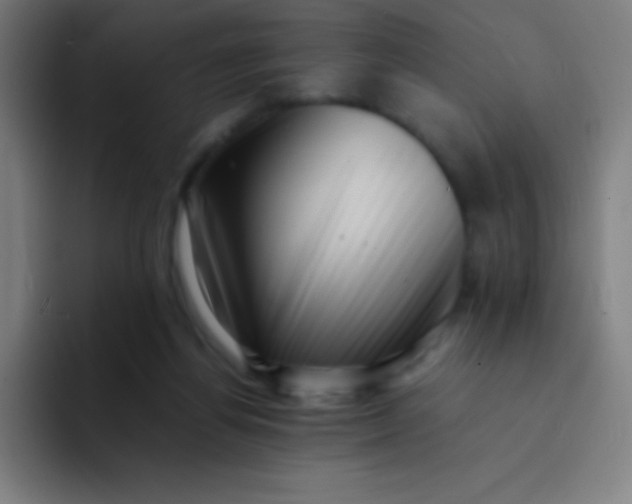 X0000094340164200711162017