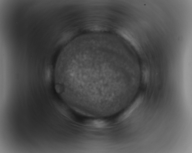 X0000094340165200711162017