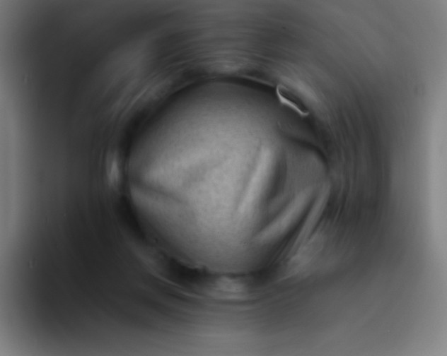 X0000094340166200711162017