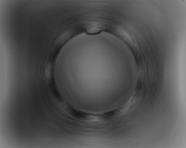 X0000094340167200711162017