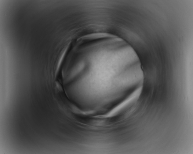 X0000094340170200711162017