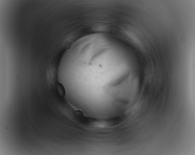 X0000094340171200711162017