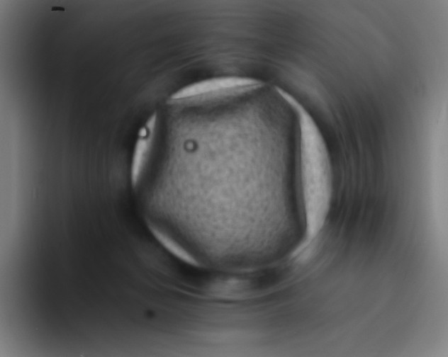 X0000094340174200711162017