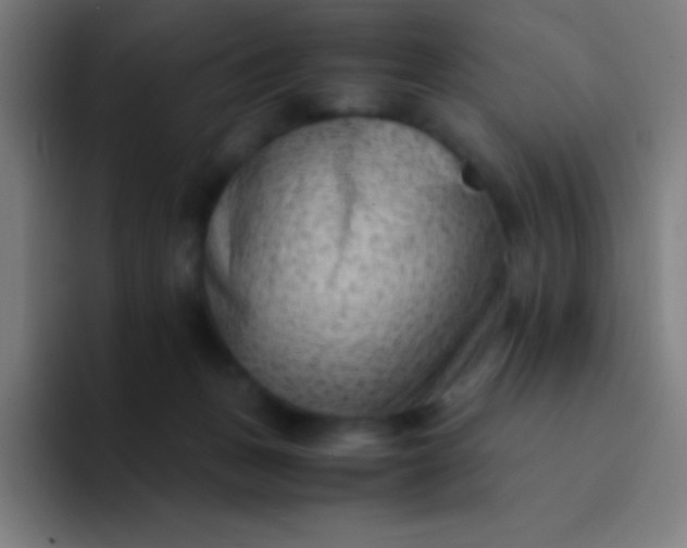 X0000094340175200711162017