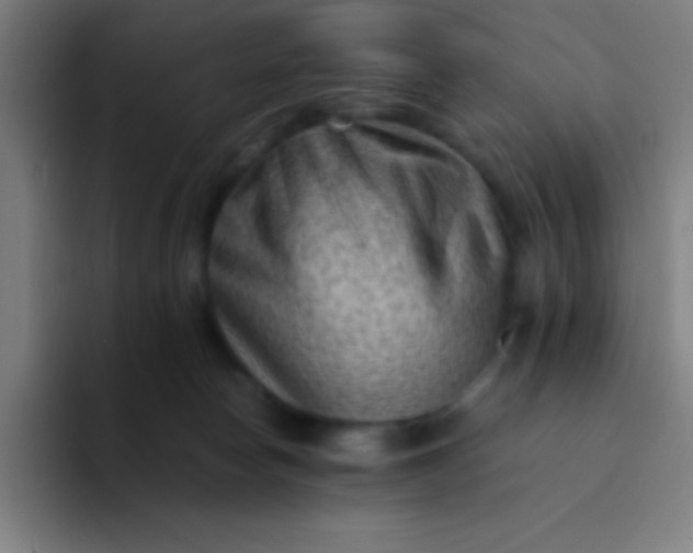 X0000094340178200711162017