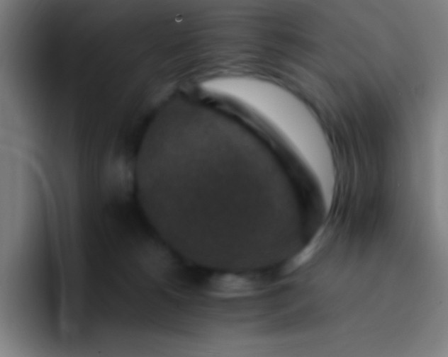 X0000094340180200711162017