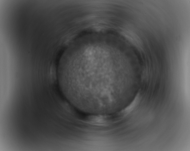 X0000094340182200711162017