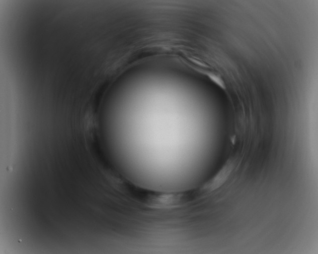 X0000094340184200711162017