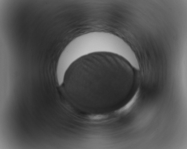 X0000094340186200711162017