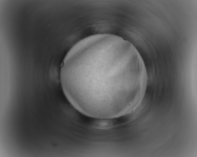 X0000094340187200711162017