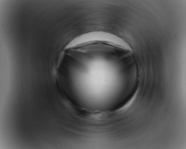 X0000094340190200711162017