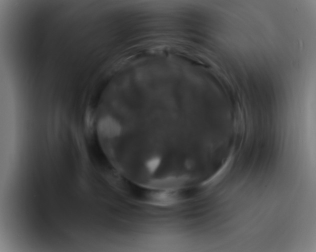 X0000094340191200711162017