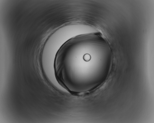 X0000094340193200711162016