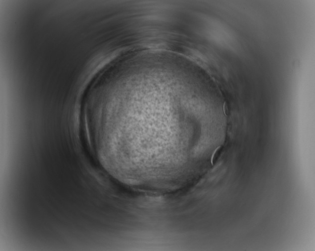 X0000094340194200711162016