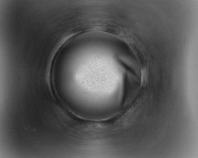 X0000094340195200711162016