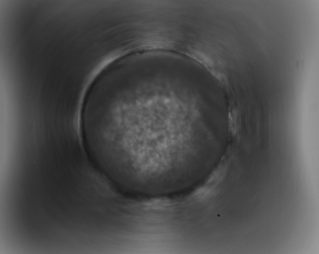 X0000094340196200711162016