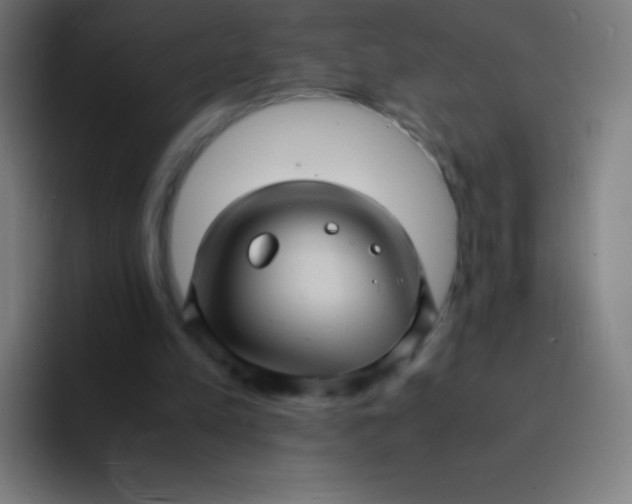 X0000094340197200711162016