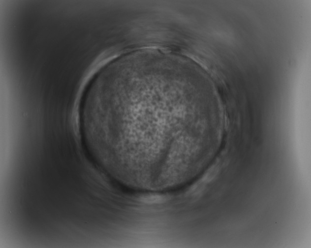 X0000094340198200711162016