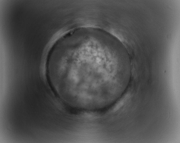 X0000094340199200711162016