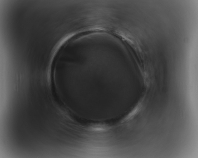 X0000094340200200711162016