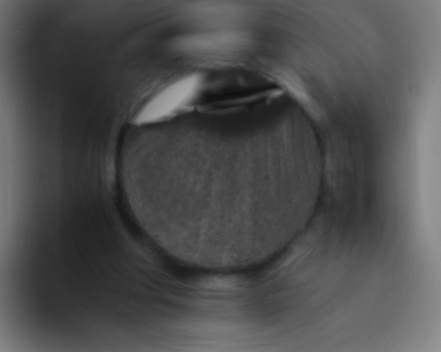 X0000094340202200711162016