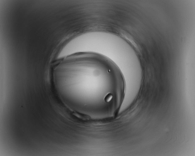 X0000094340203200711162016