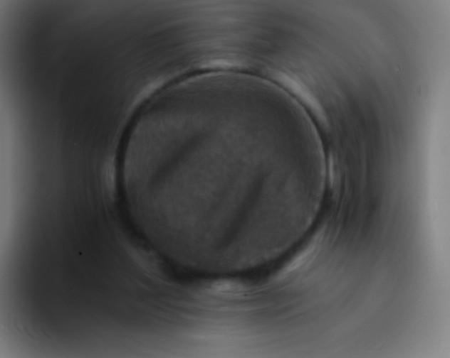 X0000094340204200711162016