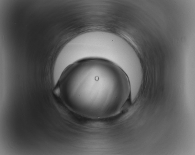 X0000094340205200711162016