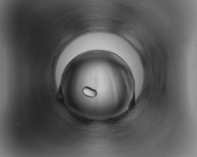 X0000094340207200711162016