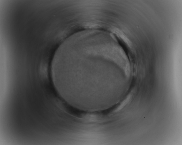 X0000094340209200711162016