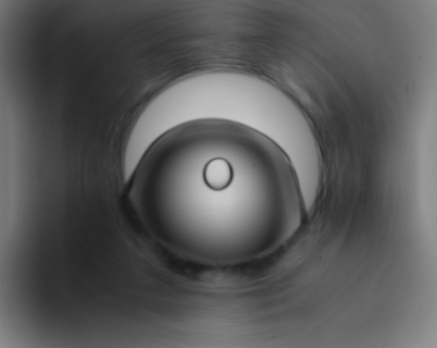 X0000094340211200711162016