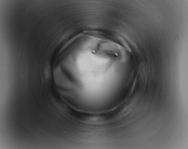 X0000094340212200711162016