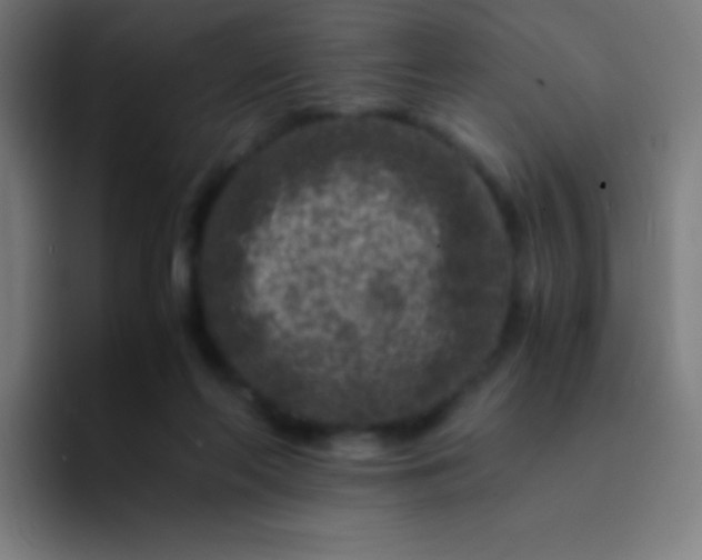 X0000094340214200711162016