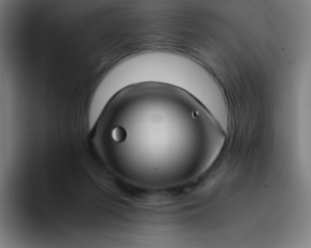 X0000094340215200711162016