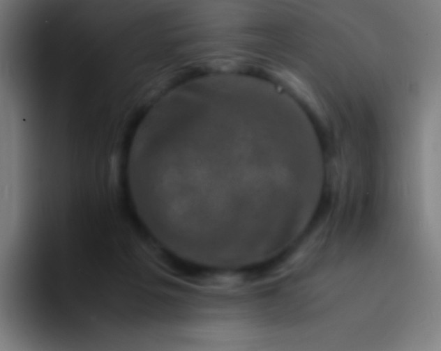 X0000094340217200711162016