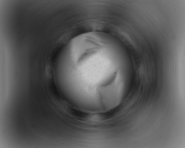 X0000094340218200711162016