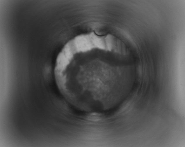 X0000094340222200711162016