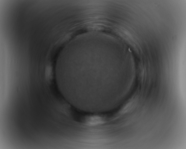 X0000094340224200711162016