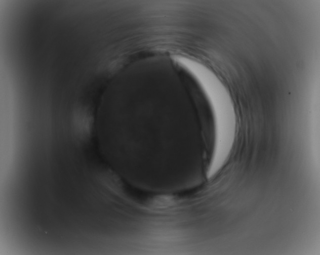 X0000094340227200711162016