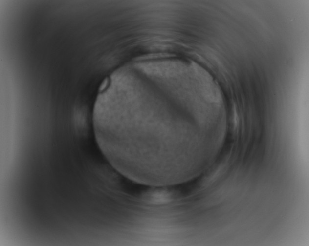 X0000094340228200711162016