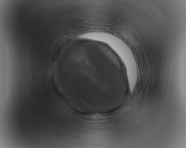 X0000094340229200711162016