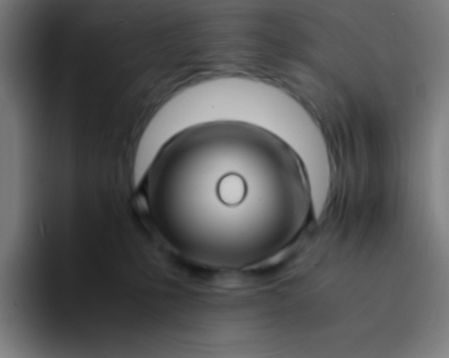 X0000094340231200711162016