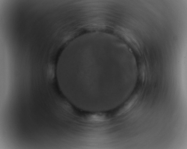 X0000094340232200711162016