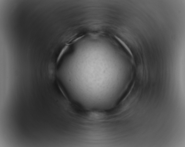 X0000094340234200711162016