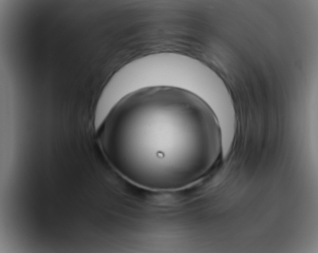 X0000094340237200711162016