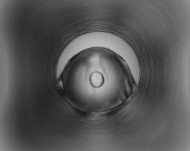 X0000094340239200711162016