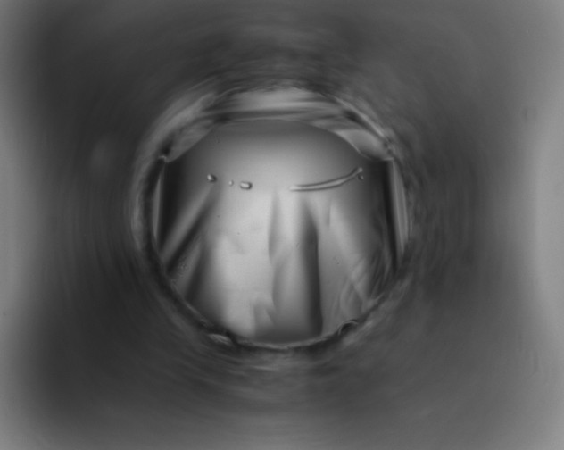 X0000094340245200711162015