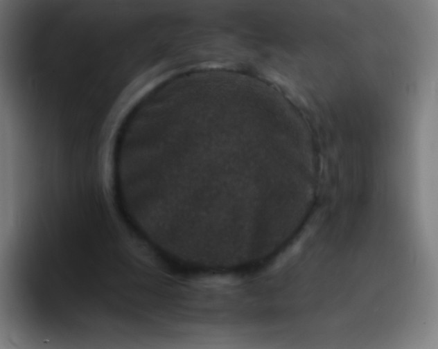 X0000094340247200711162015